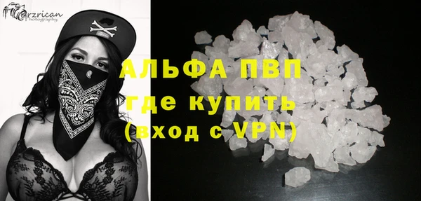 прущие грибы Волоколамск