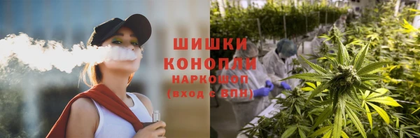 прущие грибы Волоколамск