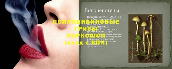прущие грибы Волоколамск
