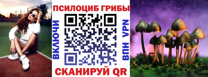 Купить  Починок  Галлюциногенные грибы MAGIC MUSHROOMS 